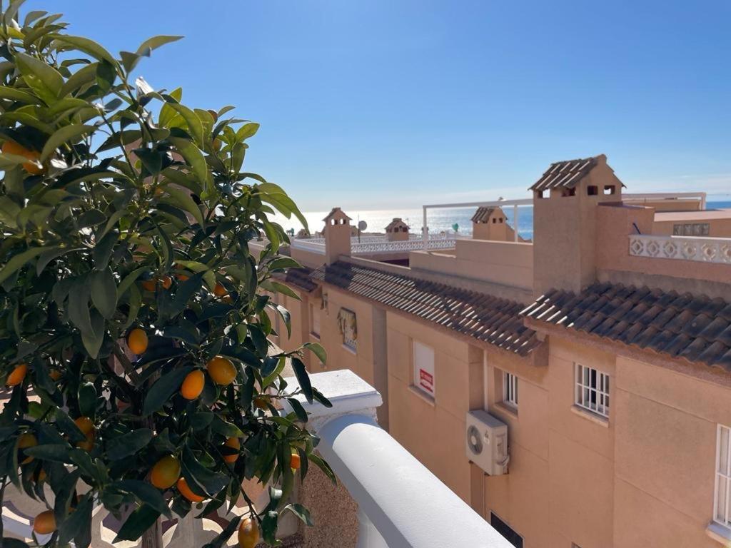 Apartment La Mata *
