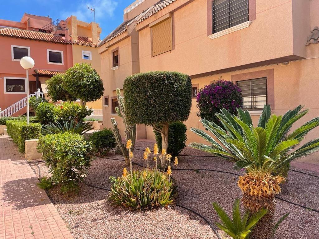 Apartment La Mata